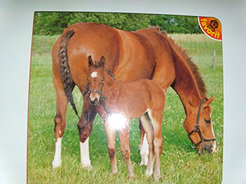 Mein erstes Tierbüchlein: Der kleine Waschbär. - Monaldini, Mauro (Bilder)