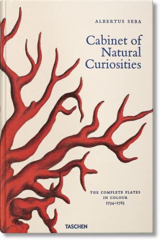 Beispielbild fr Albertus Seba. Cabinet of Natural Curiosities zum Verkauf von Daedalus Books