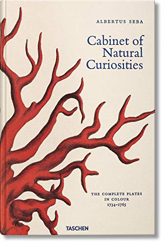 9783822816004: Albertus Seba. Cabinet of Natural Curiosities