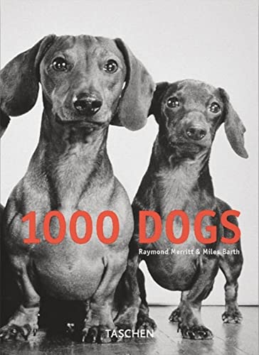 Beispielbild fr 1000 Dogs (Klotz) zum Verkauf von Books From California