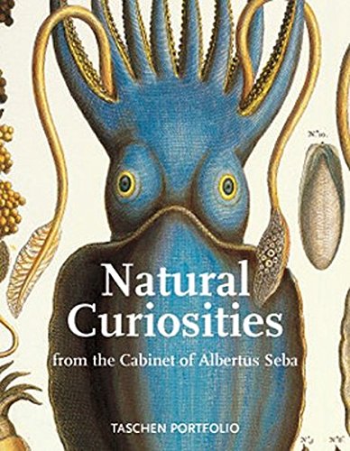 9783822829813: Natural curiosities. Ediz. inglese, francese e tedesca: From the Cabinet of Albertus Seba (Portfolio)