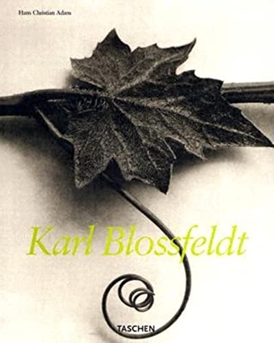 Stock image for Karl Blossfeldt: 1865-1932 for sale by ANARTIST