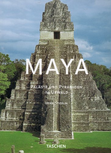 Imagen de archivo de Maya. a la venta por medimops