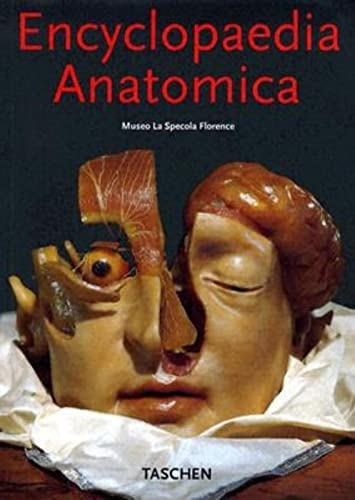 9783822838488: ENCYCLOPAEDIA ANATOMICA-TRILINGUE