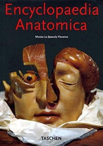 Stock image for Encyclopaedia Anatomica for sale by Librairie La fort des Livres