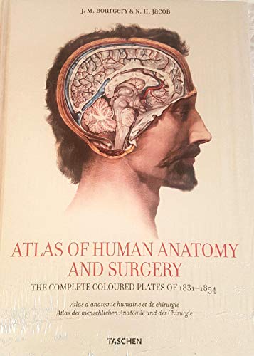 9783822848210: Atlas of human anatomy and surgery. Ediz. italiana, spagnola e portoghese