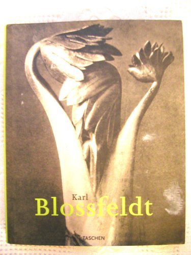 Stock image for Karl Blossfeldt 1865-1932 (English and German Edition) for sale by ZBK Books