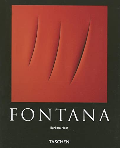Imagen de archivo de Lucio Fontana a la venta por Half Price Books Inc.