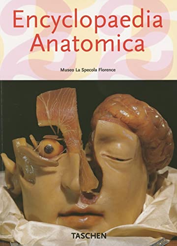 Beispielbild fr Encyclopaedia Anatomica (Klotz S.) zum Verkauf von AwesomeBooks