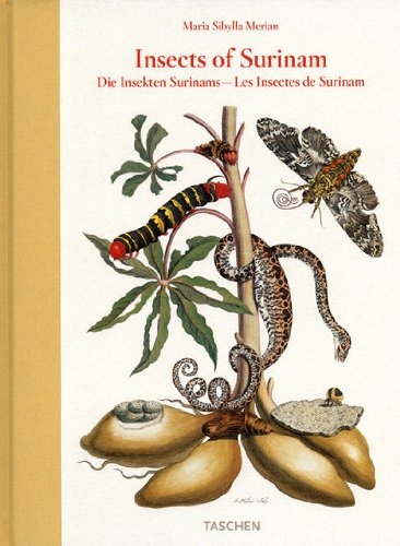 Insects of Surinam = Die Insekten Surinams. Maria Sibylla Merian. [Katharina Schmidt-Loske. Ed. and ed. coordination: Ute Kieseyer. Engl. transl.: Joan Clough. French transl.: Jeanne Etoré-Lortholary] - Merian, Maria Sibylla (Mitwirkender), Katharina (Mitwirkender) Schmidt-Loske und Ute (Herausgeber) Kieseyer