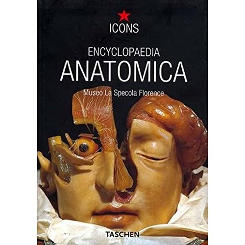 9783822855119: Encyclopaedia anatomica. Ediz. italiana, spagnola e tedesca