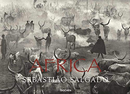 Imagen de archivo de Sebastiao Salgado: Africa a la venta por GoldBooks