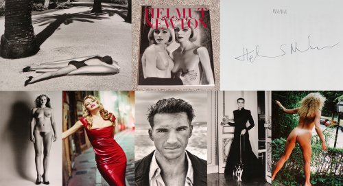 9783822857212: Helmut Newton's Work