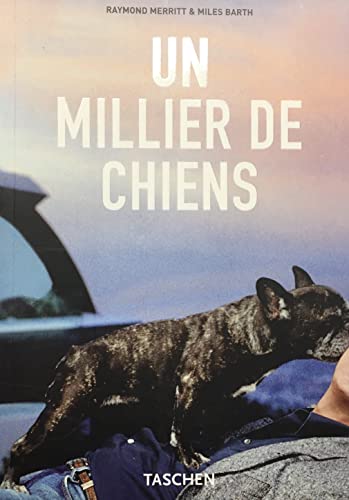 Imagen de archivo de Un millier de chiens a la venta por medimops