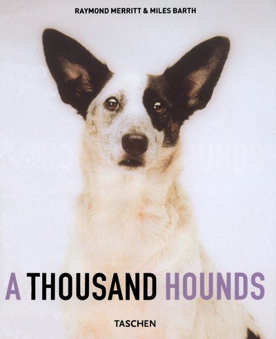 Beispielbild für A Thousand Hounds zum Verkauf von Discover Books