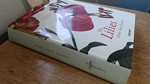 Beispielbild fr The Lilies: Lilien - Les Liliacees zum Verkauf von WorldofBooks