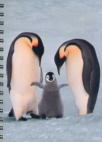 Imagen de archivo de Penguin a la venta por -OnTimeBooks-