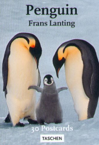 Imagen de archivo de Penguins a la venta por WorldofBooks