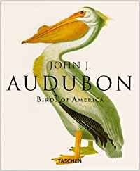 Imagen de archivo de John J. Audubon Birds of America a la venta por Old Village Books