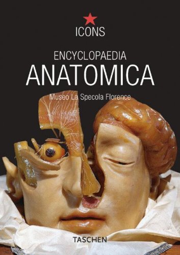 Imagen de archivo de Encyclopaedia anatomica Museo La Specola Florence a la venta por Librera Prez Galds