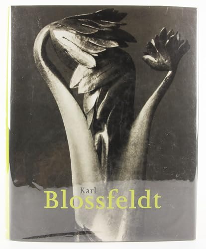 Stock image for Karl Blossfeldt, 1865-1932 for sale by ANARTIST