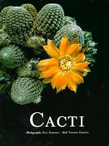 Imagen de archivo de Cacti a la venta por WorldofBooks