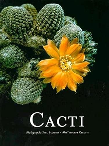 Stock image for Cacti for sale by Jay W. Nelson, Bookseller, IOBA
