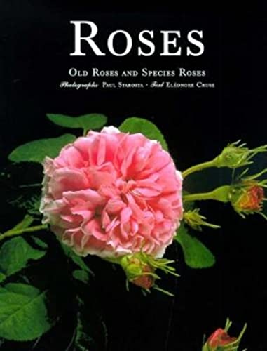 Stock image for Roses: Old Roses and Species Roses for sale by Jenson Books Inc