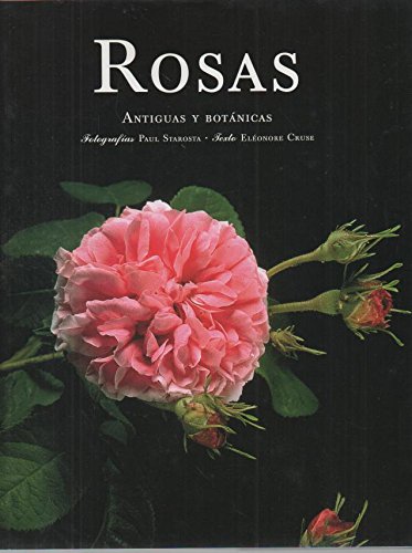 9783822880371: Rosas