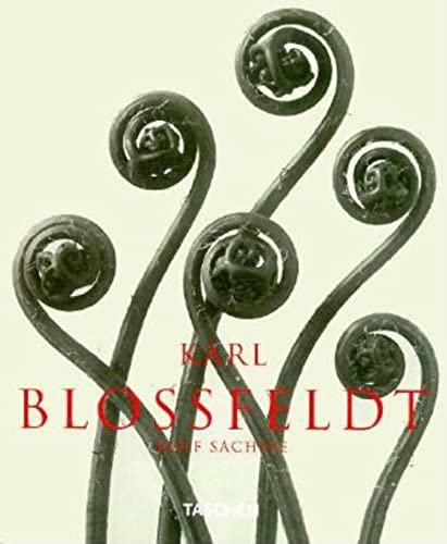 9783822883136: Karl Blossfeldt. Photographs 1865-1932, Edition Anglaise, Allemande Et Francaise (Albums S.)