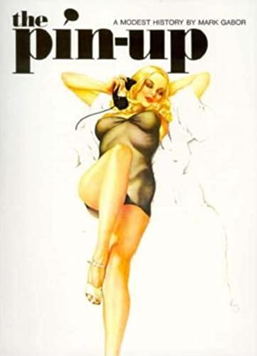 9783822886649: Pin Up: A Modest History