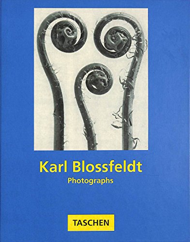 Stock image for Karl Blossfeldt: Photographs for sale by ANARTIST