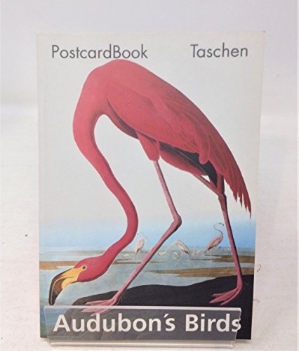 Beispielbild fr Audubon's Birds (PostcardBooks) zum Verkauf von Project HOME Books