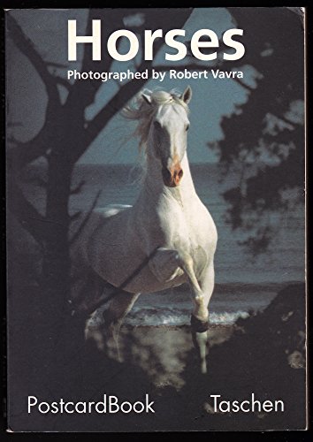 Imagen de archivo de Horses. PostcardBook. 30 Postcards (PostcardBooks S.) a la venta por medimops