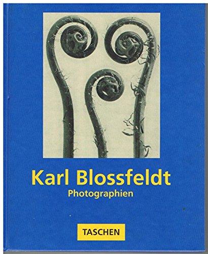 Imagen de archivo de Karl Blossfeldt - Photographien 1865 - 1932 a la venta por Versandantiquariat Kerzemichel