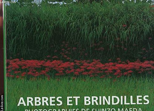 Stock image for Arbres et brindilles for sale by Ammareal