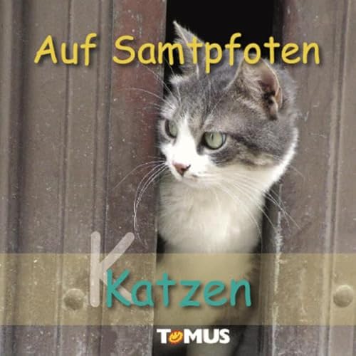 Beispielbild fr Katzenfreunde: Auf Samtpfoten zum Verkauf von medimops