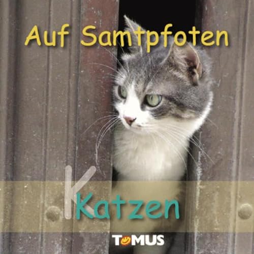Stock image for Katzenfreunde: Auf Samtpfoten for sale by medimops