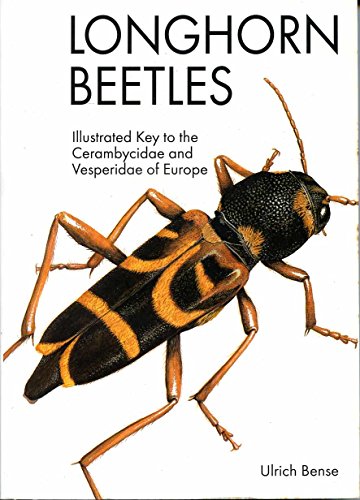 Longhorn beetles / Bockkäfer : illustrated key to the Cerambycidae and Vesperidae of Europe = Bockkäfer illustrierter Schlüssel zu den Cerambyciden und Vesperiden Europas // zweisprachig (deutsch [de] und english [en]) - Bense, Ulrich