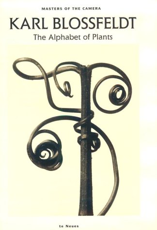 9783823803645: Karl Blossfeldt: The Alphabet of Plants