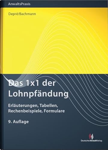 Stock image for Das 1x1 der Lohnpfndung: Erluterungen, Tabellen, Rechenbeispiele, Formulare (AnwaltsPraxis) for sale by medimops