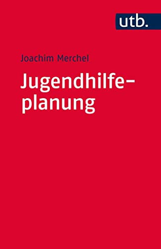 Imagen de archivo de Jugendhilfeplanung: Anforderungen, Profil, Umsetzung a la venta por medimops