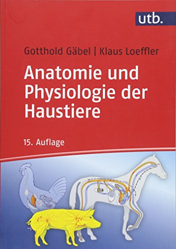 Imagen de archivo de Anatomie und Physiologie der Haustiere a la venta por medimops