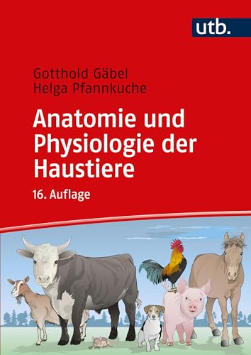 Imagen de archivo de Anatomie und Physiologie der Haustiere a la venta por Revaluation Books