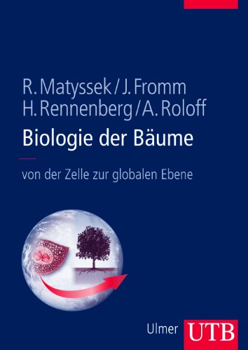 9783825284503: Biologie der Bume: Von der Zelle zur globalen Ebene