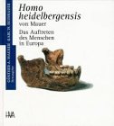 Homo heidelbergensis von Mauer - Günther A. Wagner