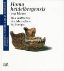 Stock image for Homo heidelbergensis von Mauer: Das Auftreten des Menschen in Europa (Programm Heidelberger Verlagsanstalt) for sale by Versandantiquariat Felix Mcke