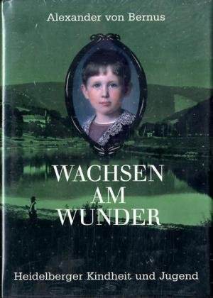 9783825371302: Wachsen am Wunder