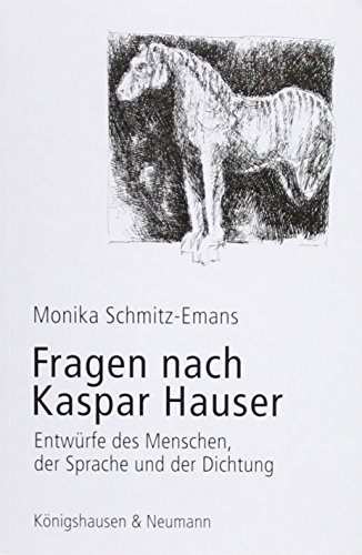 Beispielbild fr Fragen nach Kaspar Hauser. zum Verkauf von SKULIMA Wiss. Versandbuchhandlung