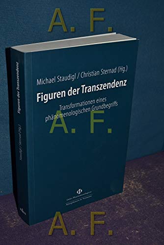 Stock image for Figuren der Transzendenz. Transformationen eines phnomenologischen Grundbegriffs, for sale by modernes antiquariat f. wiss. literatur